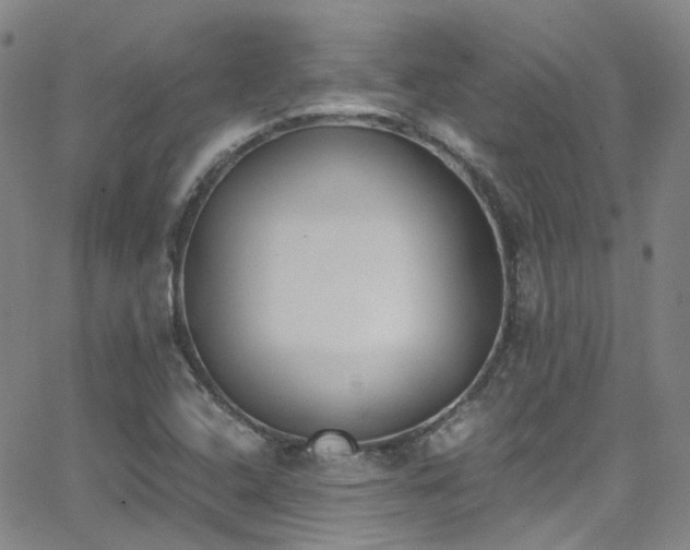 X0000062871408200601131429