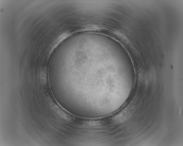 X0000062871409200601131429