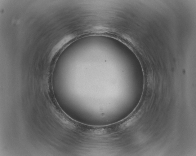 X0000062871410200601131429