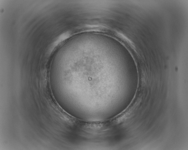 X0000062871411200601131429