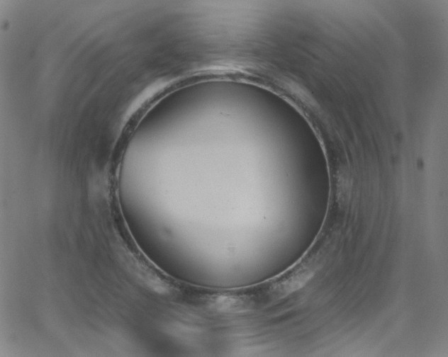 X0000062871412200601131429