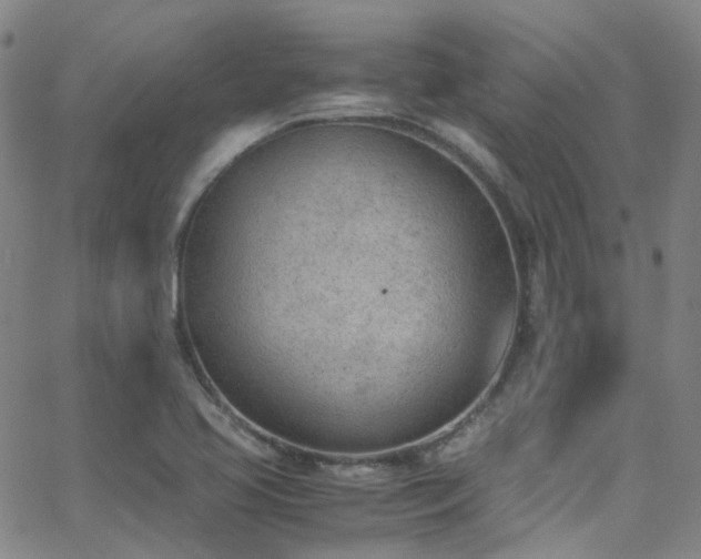 X0000062871413200601131429