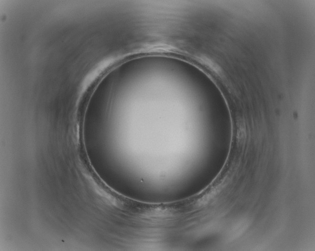 X0000062871414200601131429