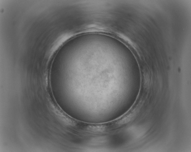 X0000062871415200601131429