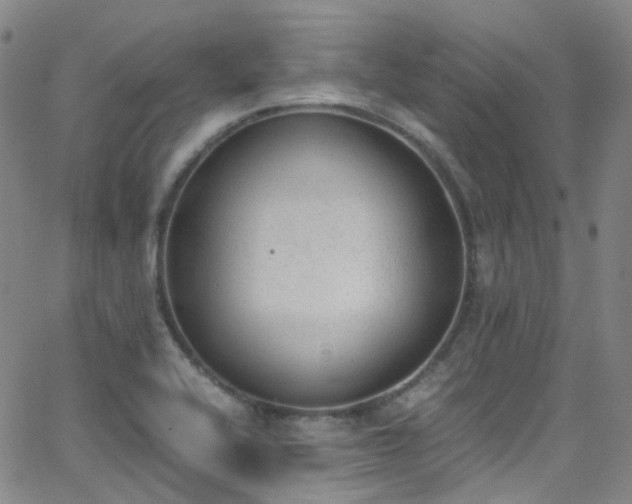 X0000062871416200601131429