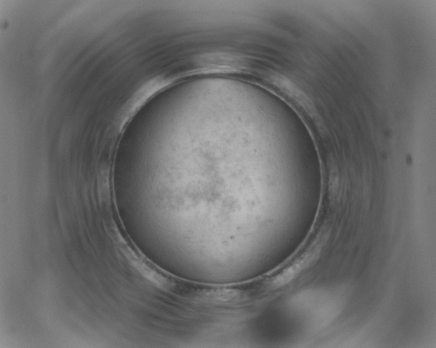 X0000062871417200601131429