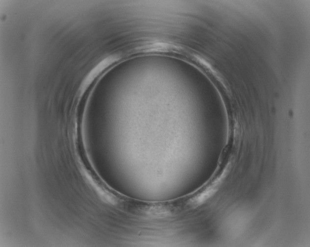 X0000062871418200601131429