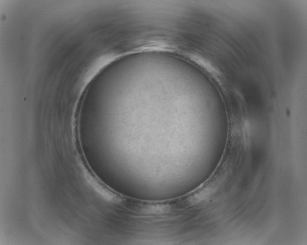 X0000062871423200601131430