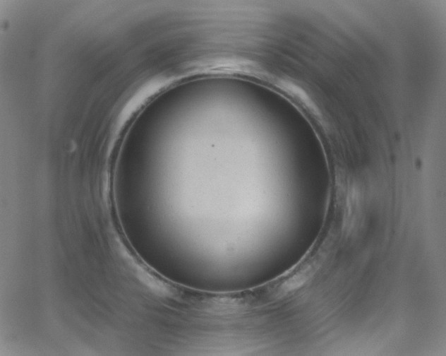 X0000062871424200601131430