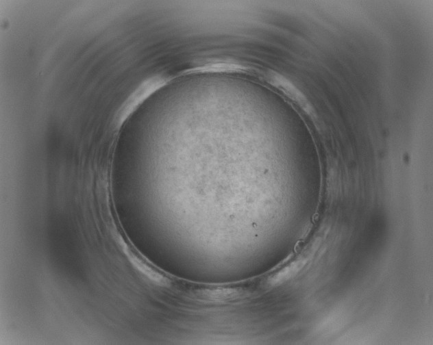 X0000062871425200601131430