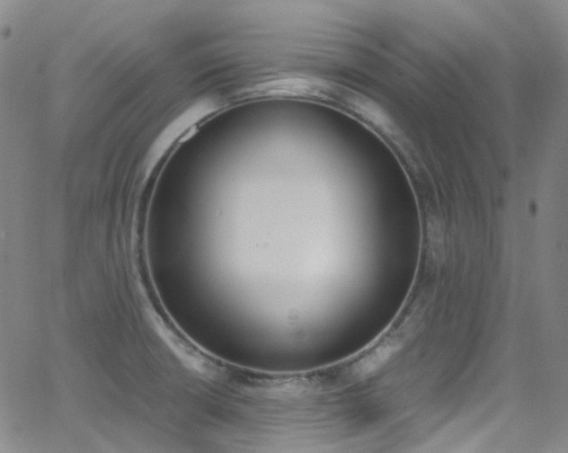 X0000062871426200601131430