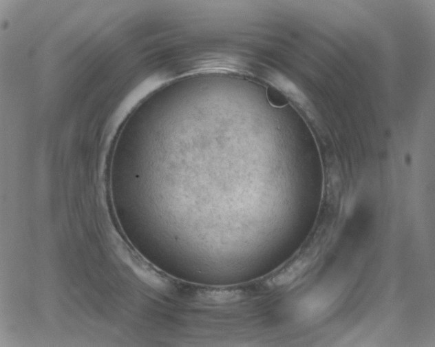 X0000062871427200601131430