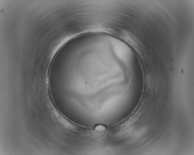 X0000062871428200601131430