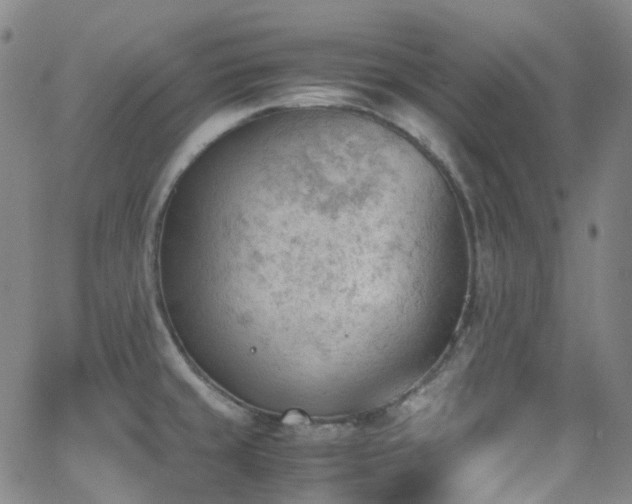 X0000062871429200601131430