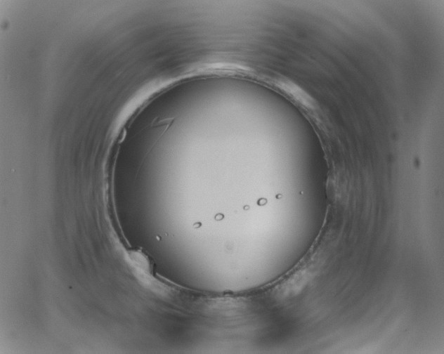 X0000062871430200601131430