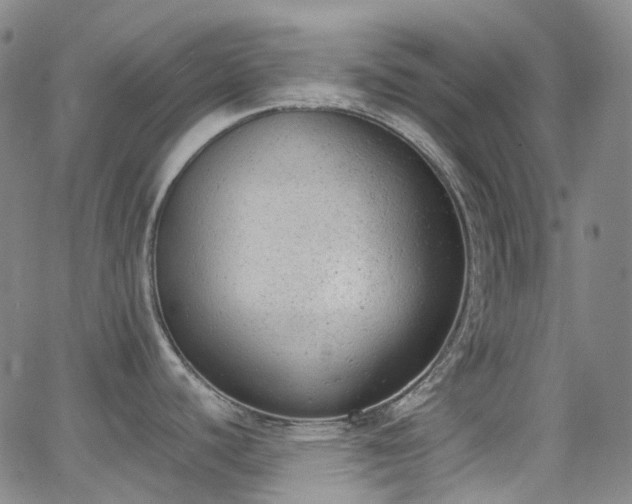 X0000062871440200601131430