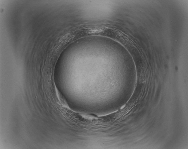 X0000062871441200601131429