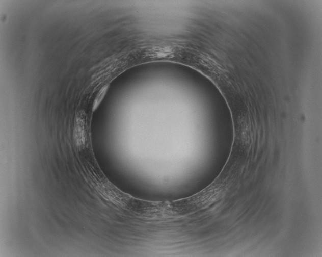 X0000062871442200601131429