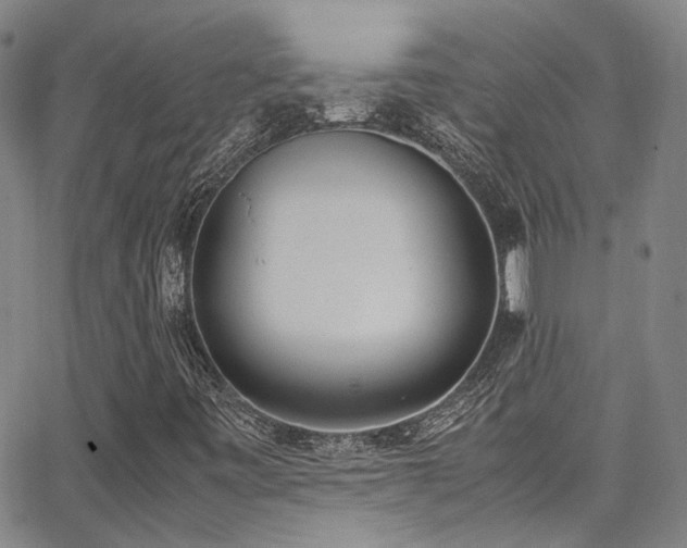 X0000062871443200601131429