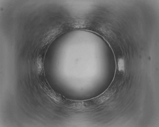 X0000062871444200601131429