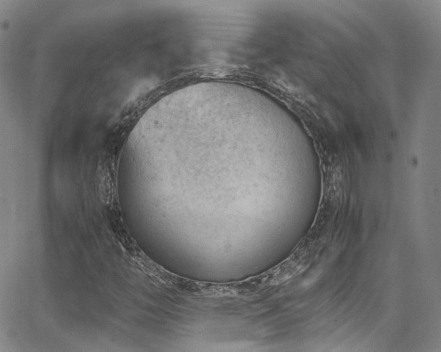 X0000062871446200601131429