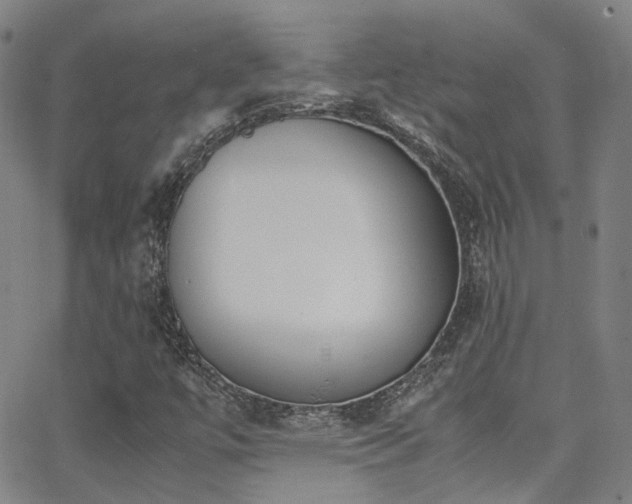 X0000062871447200601131429