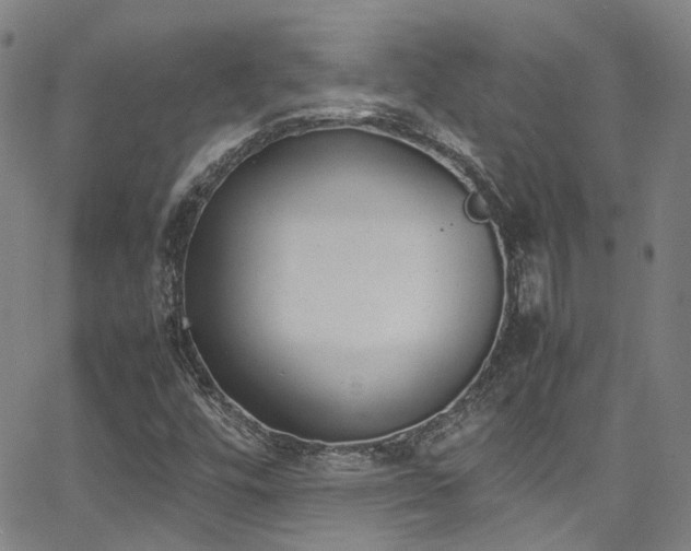 X0000062871448200601131429