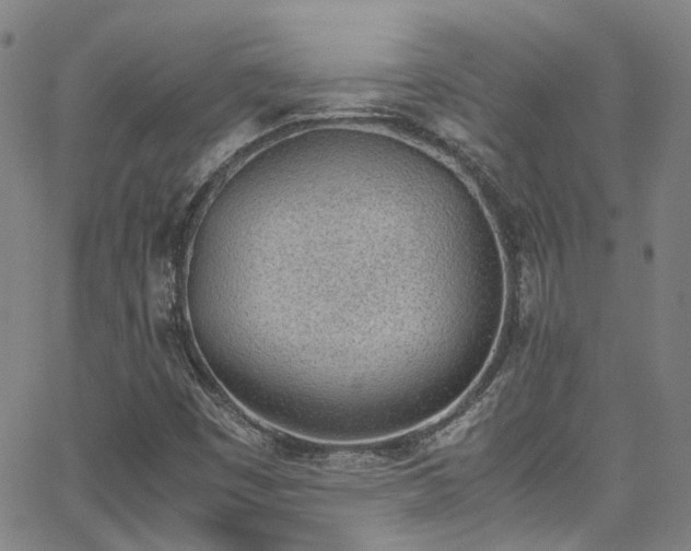 X0000062871449200601131429