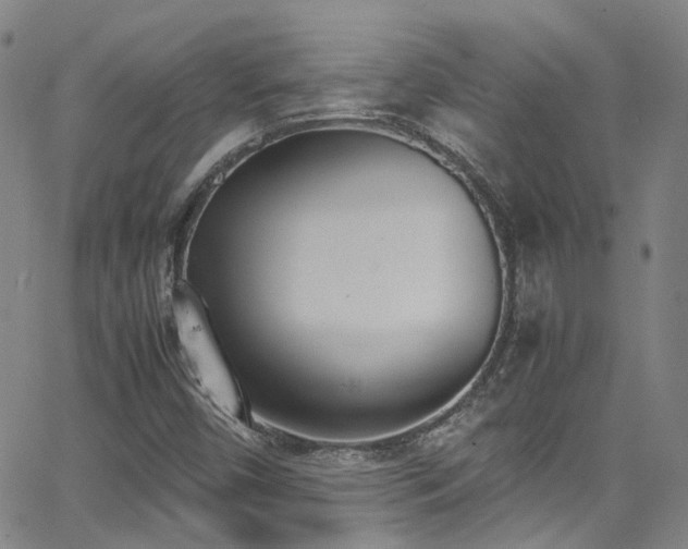 X0000062871450200601131429