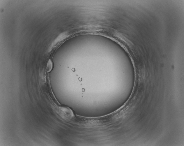 X0000062871451200601131429