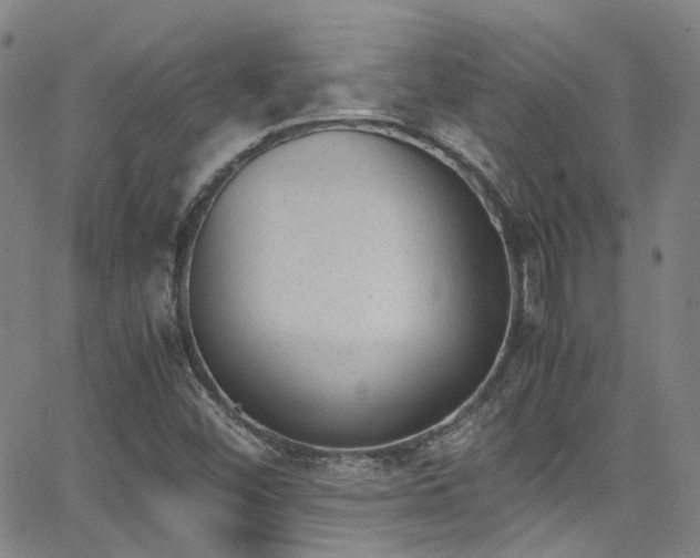 X0000062871452200601131429