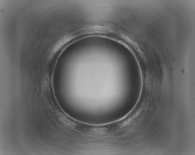 X0000062871453200601131429