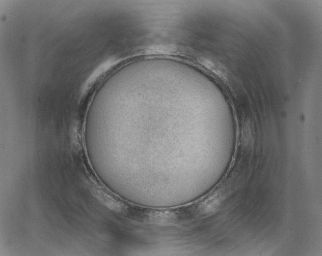 X0000062871454200601131429