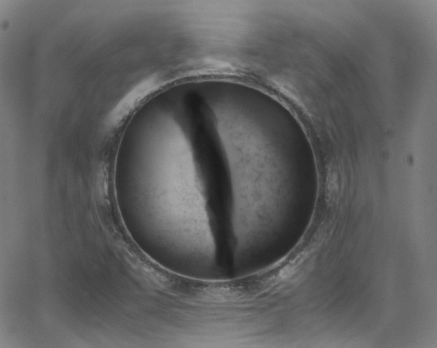 X0000062871455200601131429