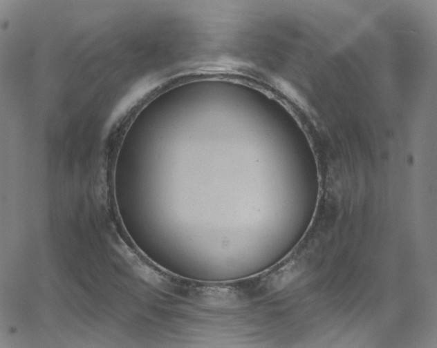 X0000062871456200601131429