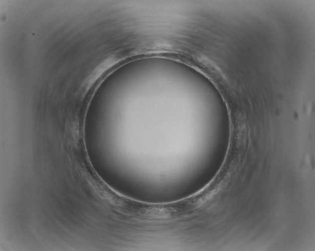 X0000062871457200601131429