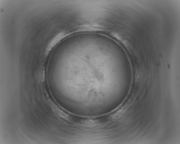 X0000062871459200601131429