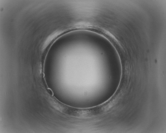 X0000062871461200601131429