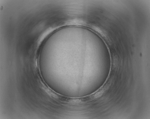 X0000062871462200601131429