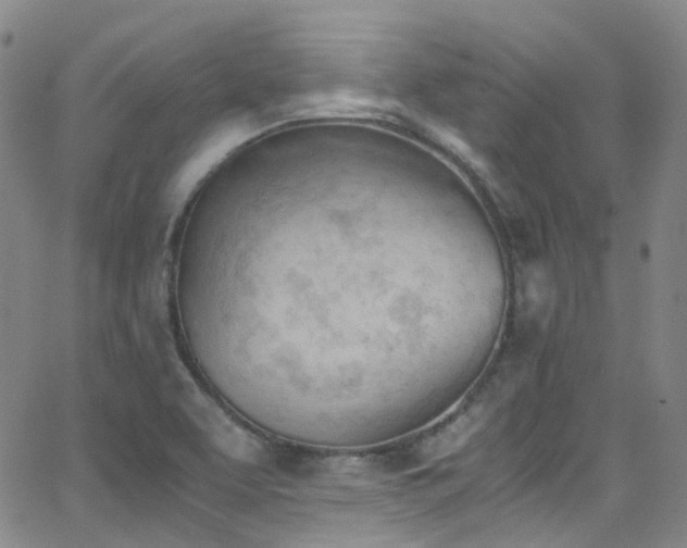 X0000062871463200601131429