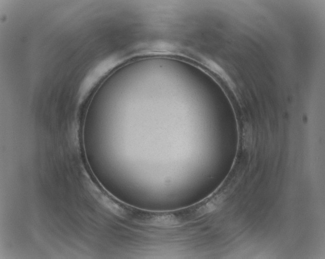 X0000062871464200601131429