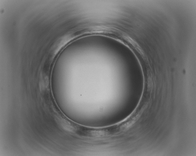 X0000062871465200601131429