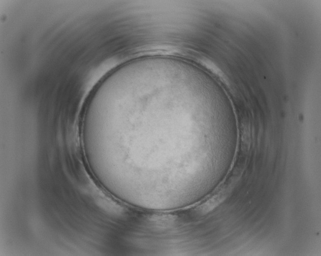 X0000062871466200601131429