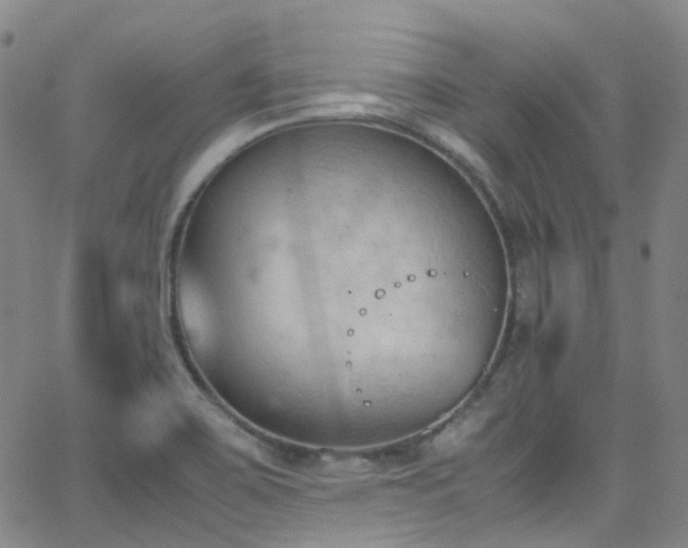 X0000062871467200601131429