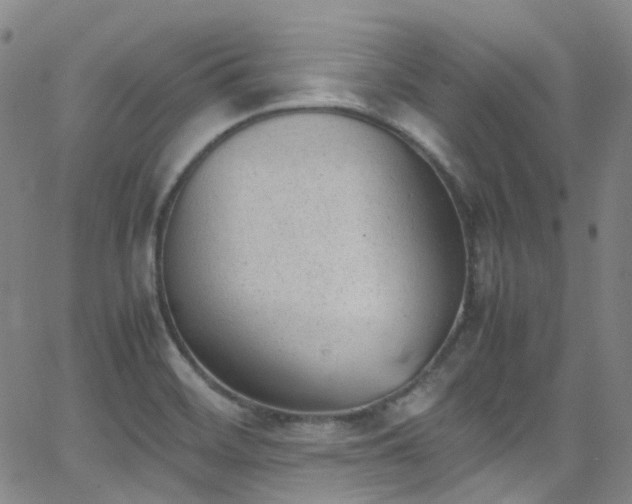 X0000062871468200601131429