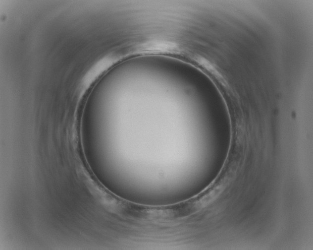 X0000062871469200601131429