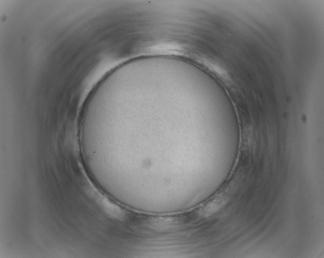 X0000062871470200601131429