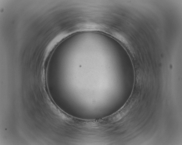 X0000062871472200601131429