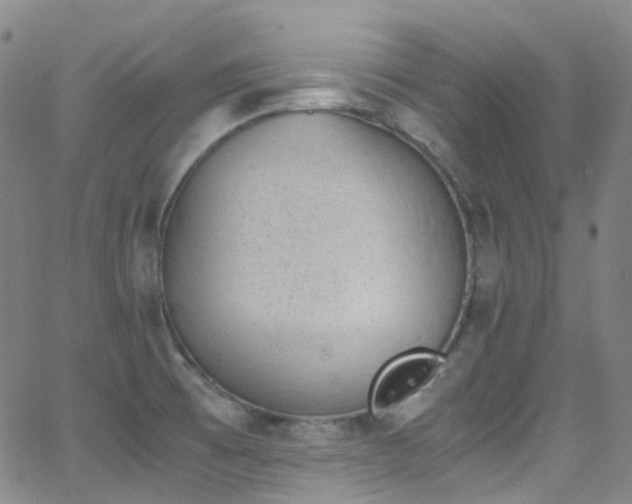 X0000062871473200601131429