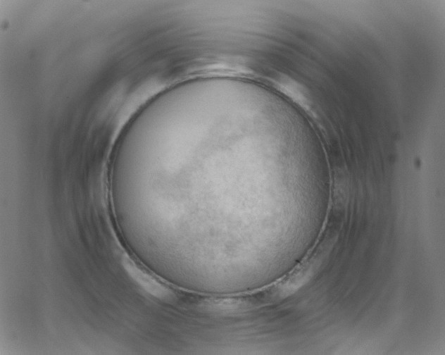 X0000062871474200601131429